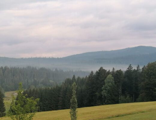 Urlaub in Deutschland: 5 Hotels und Ferienwohnungen im Bayerischen Wald
